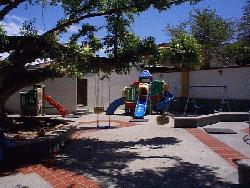 pinatas1.jpg (15479 bytes)